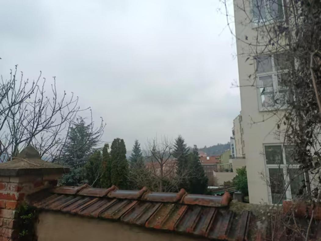 Byt S Terasou A Zahradou Brno Buitenkant foto